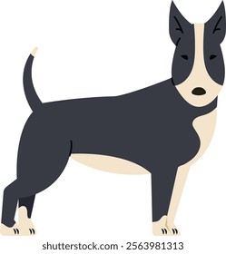 Minimalist vector illustration of a bull terrier standing in profile showing its elegant posture, isolated on a white background, perfect for animal lovers and pet owners