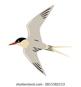 Minimalist vector illustration of a Caspian Tern in flight. The bird features a distinctive black head, orange beak, and gray wings with black accents. The illustration style is characterized by clean lines, simple shapes, and a limited color palette. The background is a solid white, emphasizing the bird's form and movement. This image is suitable for wildlife design, birdwatching materials, and educational resources.