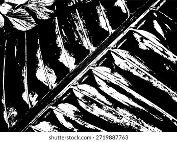Ilustración vectorial minimalista de una rama de hoja de coco, silueta de fronda de palmera tropical para vacaciones de verano, tema de playa y proyectos de Diseño gráfico botánico orgánico