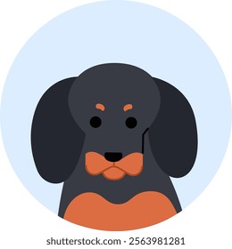 Minimalist vector illustration of a dachshund dog, presenting a frontal view of its head and upper body, set against a light blue circular backdrop