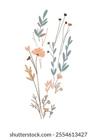 Minimalist vector illustration of delicate thin plants