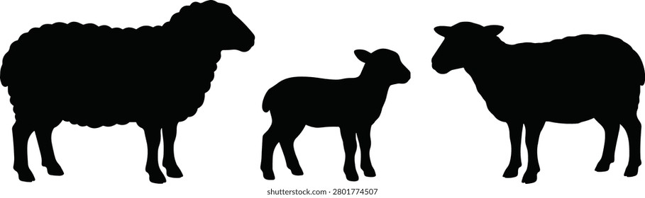 A minimalist vector illustration featuring clean black silhouettes of three sheep representing a family flock. This graphic is ideal for agricultural branding, livestock farming logos, and rural-themed design projects.
