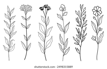 A minimalist vector illustration featuring a collection of wildflowers in black and white line art. This elegant and simple design showcases various botanical elements
