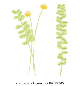 Una Ilustración vectorial minimalista con hojas de eucalipto verde y delicadas flores silvestres amarillas aisladas sobre un fondo blanco.
