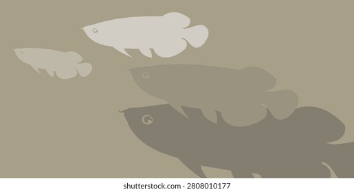 A minimalist vector illustration featuring multiple silhouettes of Asian Arowana fish swimming together. Designed with a subtle, earthy monochromatic beige color palette, this clean and modern animal background is perfect for banners, wallpapers, cultural designs, and aquarium-themed concepts.