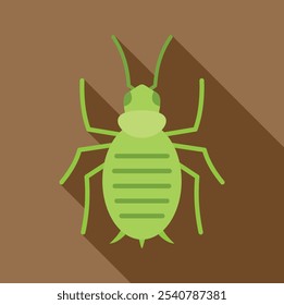 Minimalist vector illustration of a green aphid, an insect pest that can cause damage to plants