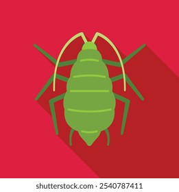 Minimalist vector illustration of a green aphid insect, ideal for educational and design projects related to nature, insects, and pests