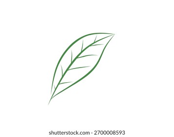 Ramas de hoja verde de Ilustración vectorial minimalista dibujadas con líneas curvas delgadas. Arte botánico simple de la línea que representa la naturaleza, el crecimiento y la frescura, conveniente para el diseño, logotipo.