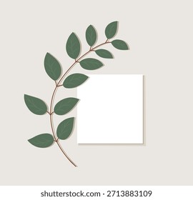 Ilustración vectorial minimalista de la rama de hoja verde emparejada con una tarjeta en blanco. Perfecto para invitaciones de boda, tarjetas de felicitación, temas ecológicos y Elementos decorativos. Fondo limpio, estética moderna