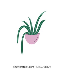 Minimalist vector illustration of houseplant in purple pot. Depiction of potted plant. Decorative element for cards, posters, stationary.