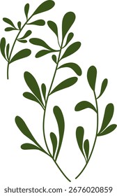 Minimalist vector illustration of multiple green foliage branches with simple leaves. Suitable for botanical design, eco-friendly projects, decorative patterns, herbal themes, and natural backgrounds.