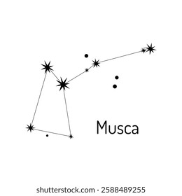 Minimalist vector illustration of the Musca constellation with star connections. Ideal for astronomy lovers, educational materials, space-themed designs, and celestial maps.