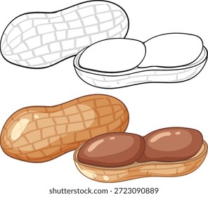Minimalist vector illustration of peanuts in shell and cracked open, including black line art version
