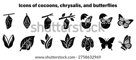 Minimalist vector illustration set depicting the stages of butterfly development, from cocoon and chrysalis to fully formed butterfly. Ideal for educational materials, nature-themed designs, and environmental branding projects.