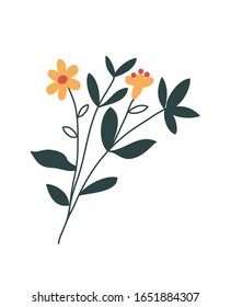 Minimalist vector illustration of yellow flower. Depiction of wildflower. Nature, leaves. Decoration for invitations, cards.