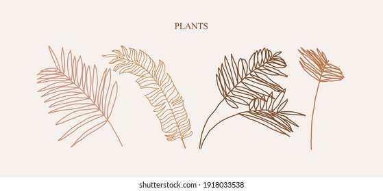 Minimalist vector illustrations with brown leaves. Palm leaves. Foliage, fronds, nature. Collection of decorative elements for posters, cards, stationery. Natural colors.