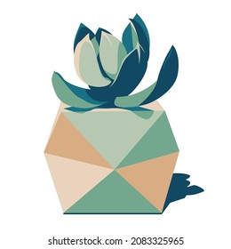 Minimalist vector image of a succulent in a faceted pot in turquoise and beige colors.