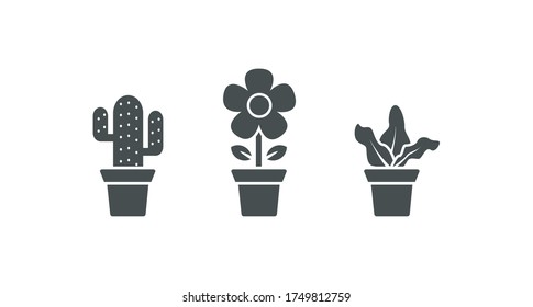 Minimalist vector ornamental plants in pots with glyph line style. Plants flat vector icon.