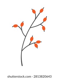 Minimalist vector rosehip branch illustration with red berries and dark grey stem on white background for autumn design patterns kitchen textiles and organic cosmetic branding palette