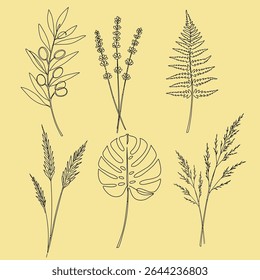 A minimalist vector set of elegant botanical elements drawn in monoline style. Featuring leaves, stems, and floral outlines with clean continuous lines. Perfect for modern branding, logo design.
