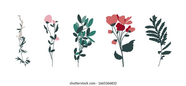 Conjunto vectorial minimalista de dibujos florales. Decoración para cartas, invitaciones. Ilustración botánica. Floral. Salgas.