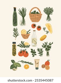 Minimalist vector set of fresh herbs, tomatoes, and kitchen ingredients, perfect for healthy eating campaigns and natural food branding.