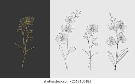 Minimalist vector set of orchid line art featuring a gold design on a dark background and black outlines on a light background. Vector illustration for labels, save the date, wedding invitation.