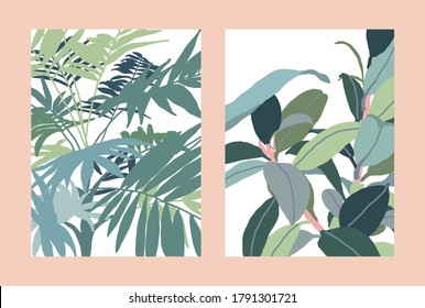 Minimalist vector set of plant illustrations. Depiction of green palm leaves and ficus on white background. Nature, foliage. For cards, posters, stationery, as backdrop.