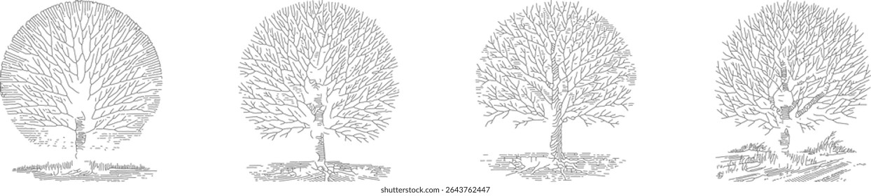 Minimalist Vector Set of Single Bare Tree Line Drawings – Black Outline Illustration of Leafless Trees, Nature Silhouette Design