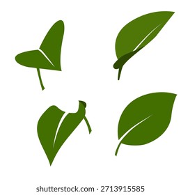 A minimalist vector set of stylized leaves in a modern, flat style. Simple organic shapes, clean lines, and a natural green color palette make these illustrations perfect for eco-friendly design, natu