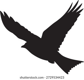Minimalistische Vektorsilhouette eines Vogels, wie einer Taube oder Taube, im Flug mit erhobenen Flügeln