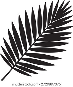 Silhueta vetorial minimalista de uma única folha de palmeira tropical ou fronde de samambaia isolada em um fundo branco