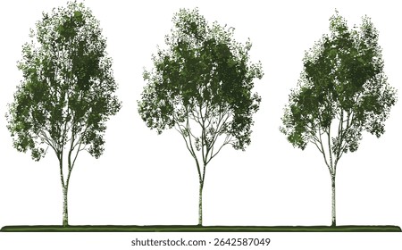 Minimalist vector tree forms collection on transparent backgrounds, geometric tree shapes, nature design icons, eco friendly tree symbols, modern tree illustrations
