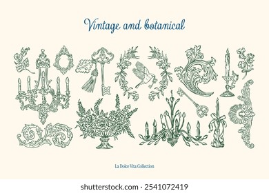 Minimalist vintage botanical vector illustration collection. Art for greeting cards, wedding invitations, poster design, postcards, branding, logo design, background.	