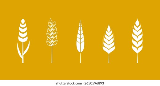 Minimalist wheat vector illustration logo featuring five distinct wheat stalks in white color isolated on vibrant golden background, ideal for agricultural themes, food packaging or organic products.