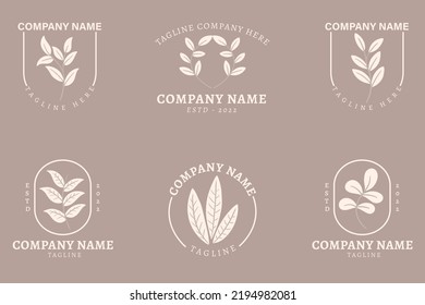 Minimalist White Leaf Leaves Nature Logo Collection Style Brown Pastel Background.