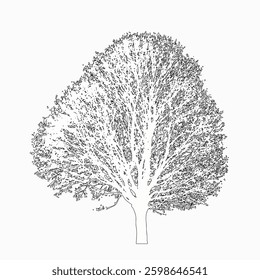 Minimalist White Tree Silhouette Vector Illustration with Black Stroke. A clean and modern vector illustration of a black tree silhouette with detailed branches. Perfect for eco-friendly designs, logo