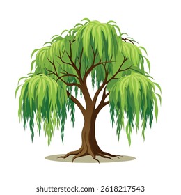 Minimalist Willow Tree Vector on White Background
