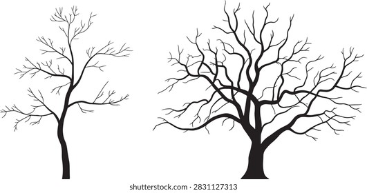 Minimalist winter landscape with stark, leafless trees.
