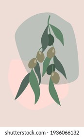 Minimalistic abstract still life. Olive branch with fruits and leaves on a background of simple geometric shapes. Modern composition for print, poster, textile. Vector graphics.