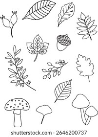 minimalistic autumn elements with mushrooms and leaves