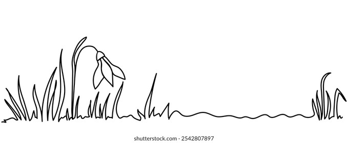 Minimalistic background of a single snowdrop flower amid simple grass lines. Sketch grass and flower. Delicate, doodle hand-drawn style shows early spring and nature's beauty