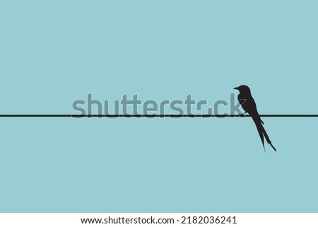 Minimalistic bird silhouette, Bird on a wire vector illustration. Birds Silhouette, Alone birds sitting on a wire, isolated.