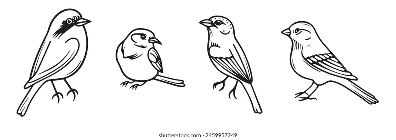 Minimalistic Birds Line Art Set