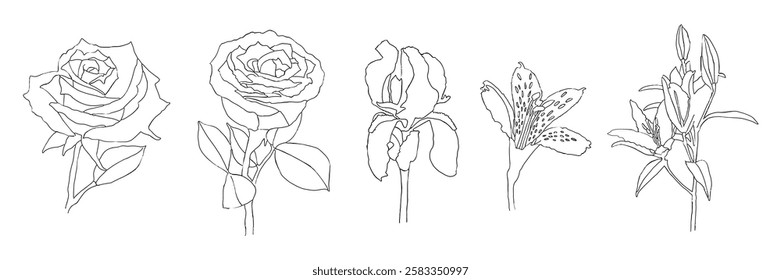 Minimalistic black and white line art illustration featuring five different flowers. The drawing showcases delicate floral details, including roses, irises, and lilies