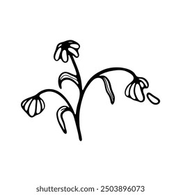 A minimalistic black and white line drawing of a set of wilting flowers on delicate stems.