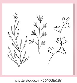 A minimalistic black and white line drawing of three botanical herb stems. Each plant features unique leaf shapes, drawn in a clean, modern doodle style. Perfect for coloring pages, wall art