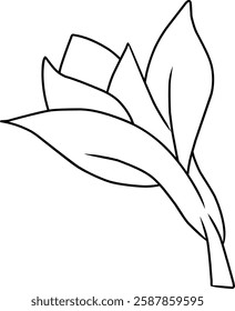 Minimalistic black-and-white outline illustration of a flower with leaves, ideal for coloring, design concepts, or educational use.