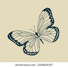 Minimalistic butterfly icon. Sticker for social networks. Elegant vintage style, graphic elements for website. Aesthetics, beauty, inspiration and insight concept. Cartoon flat vector illustration