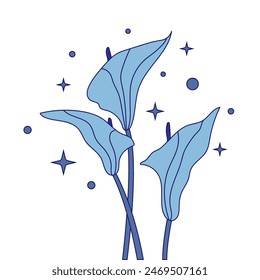 Minimalistic cartoon illustration of three calla lily buds on a white background with stars. Elegant illustration with outline and fill in soft blue tones. Handmade drawing for decoration and printing